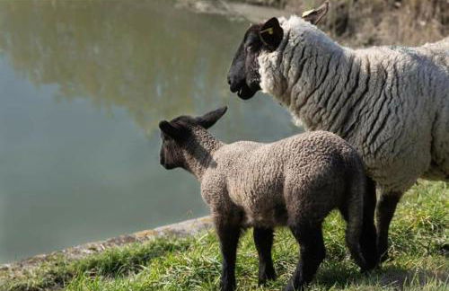 La Parenthese Bois de Cise - Foto 47