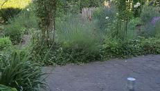 Ferienwohnung an den Leinewiesen - Foto 4