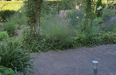 Ferienwohnung an den Leinewiesen - Photo 4