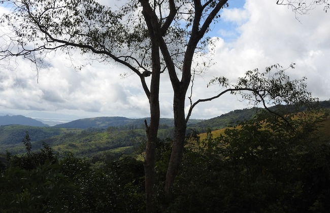 Madrugada Magic - Foto 22