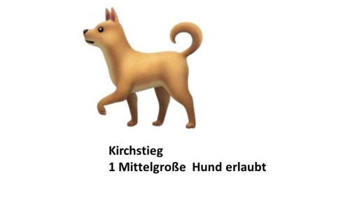 Schloss Stiege - Foto 5