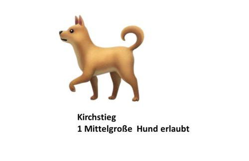 Schloss Stiege - Foto 5