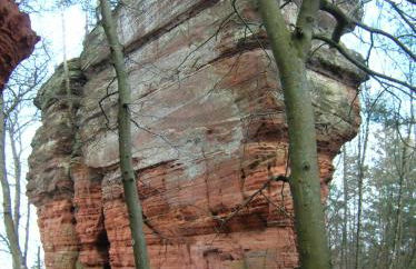 LES BRIMBELLES - Photo 28