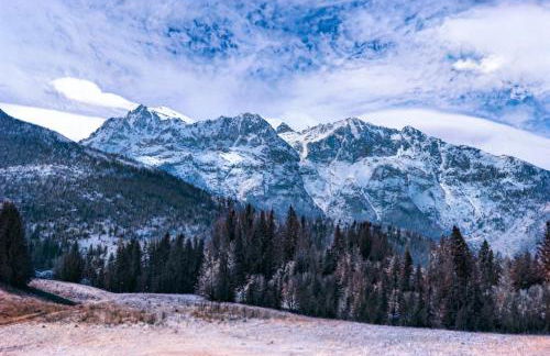 Fiore del Brenta 2 a 50 m dalla fermata dello skibus gratuito - Foto 29