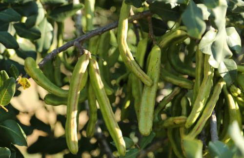 Casa da Retur-Praia do Cabeco-Algarve-Castro Marim - Photo 37