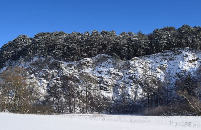 Holiday Apartment Busch - Foto 27