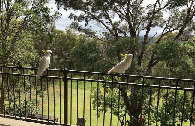 Kookaburra Retreat - Foto 41