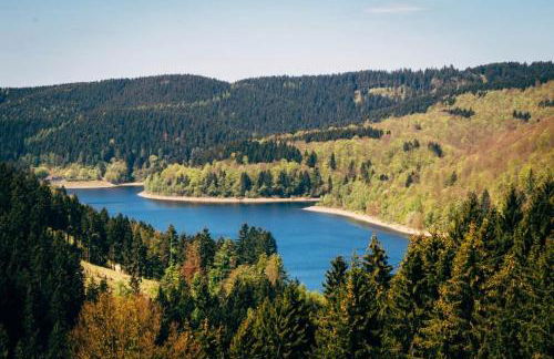 HIRSCH Hänsel Ferienhaus Garten mit Bergblick - Grill -Wald - Foto 43