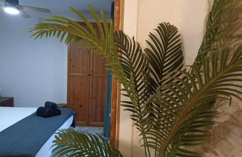 Petra apartments -Old City with terrace and barbecue- - Foto 10