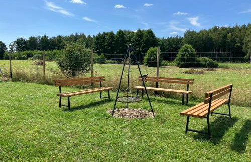 Nasz tatarak - sauna, plaża i kajaki w cenie - Foto 23