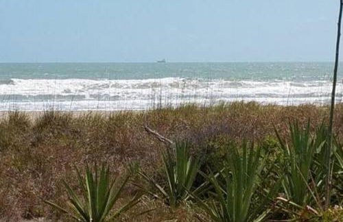 Oceanfront Cottage - Pool Beach Access Oceanview - Foto 24