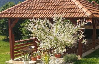 Holiday house with a swimming pool Otocac, Velebit - 25186 - Foto 11