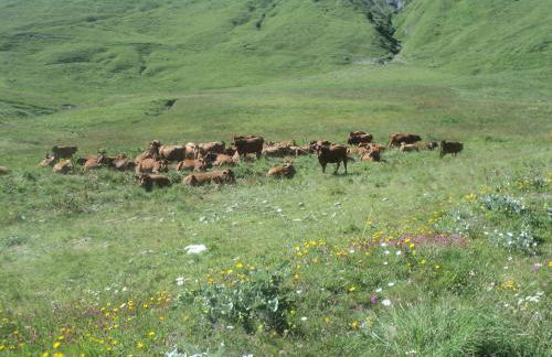 Maison de l'Epine -spa- Versant du soleil - Foto 12
