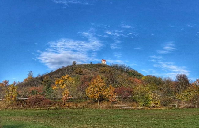 Peaceful Holiday Home in Holin With Garden - Photo 21
