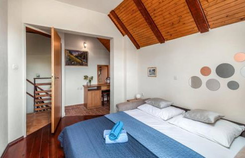 Nice Home In Ravna Gora With Wifi - Foto 12