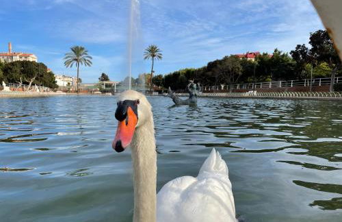 CASA CARMEN 20 - Foto 25