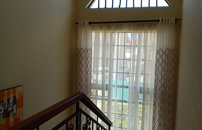 Nature Green - Foto 6