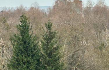 Apartament nad Wdą - Photo 11