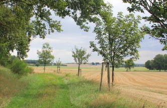 Apfelscheune Cannewitz - Foto 73