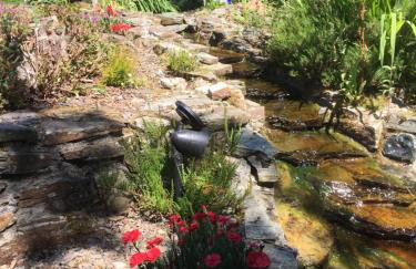 Howard Farm Holiday Cottages - Foto 34