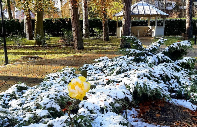 Aparthotel Wooden Villa - Photo 31