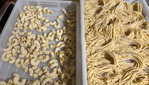 Villa Patrizia - Foto 5