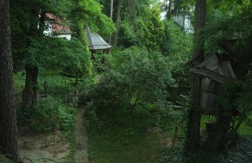 Leśny kasztel pod sosnami. Pokój w koronach drzew. - Foto 31