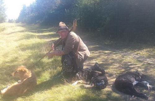 Ferienwohnung Hilleseeblick - Foto 16