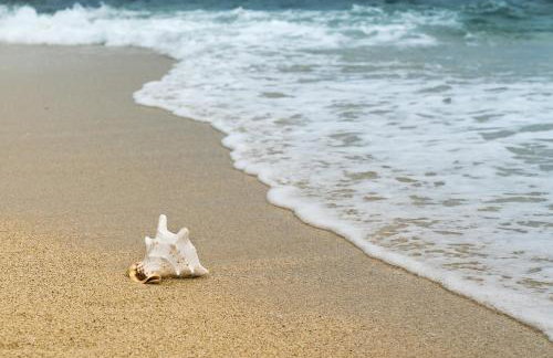 Villa Lavanda -semi-detached villa with a pool and a panoramic view, close to a sandy beach- by TRAVELER tourist agency Krk - Foto 12