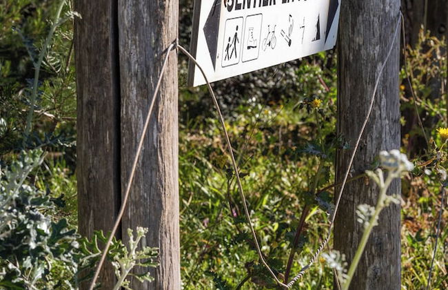 Villa de La Madrague – Presqu’île de Giens - Foto 51