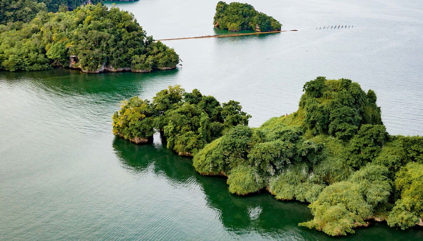 Excursão ao Parque Nacional Los Haitises