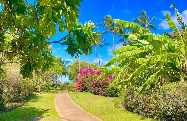 Kauai Regency at Poipu Kai by Coldwell Banker Island Rentals - Foto 76