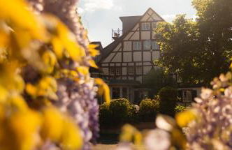 Ferienresidenz Brauneberger Hof an der Mosel nahe Bernkastel-Kues - Foto 30