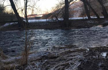 Gateshaw Cottage - Scottish Borders - Foto 34