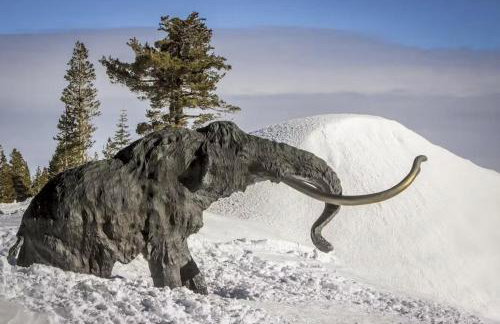 Horizons 4 131 - Foto 34