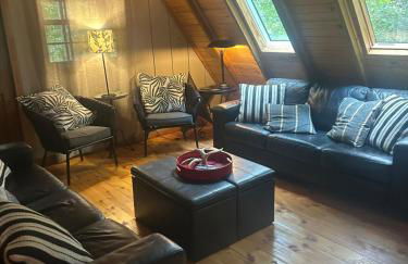 Bearly Behavin - Foto 50