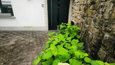 Ferienwohnung Gute Zeit - Foto 3