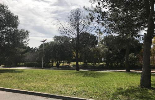 Prazeres do Golf - Foto 18