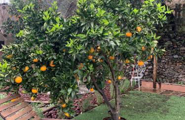 Caserío de Ovejuela - Foto 78