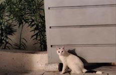 AIR-IN Rooms with magnificent views - Foto 39