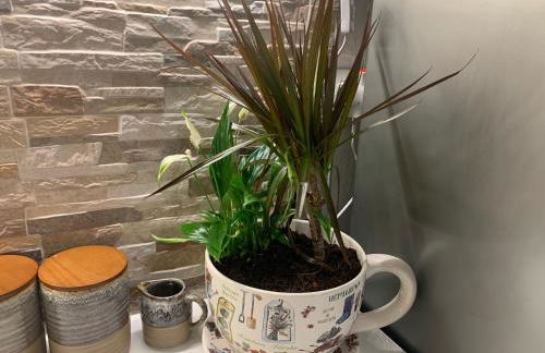 Pelion 7 Lives - Foto 77