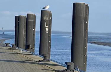 Ferienhaus Sandhöcht - Photo 32