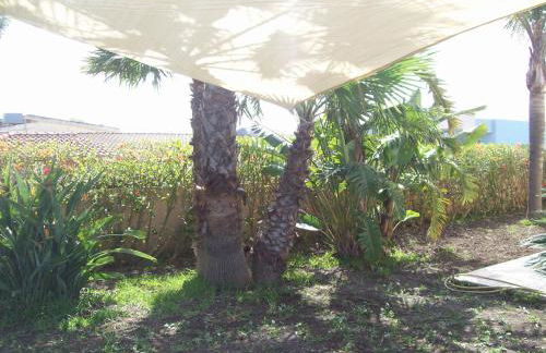Villa Orchidea -San Lorenzo - Marzamemi - Foto 44