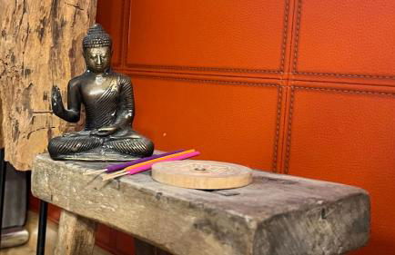 Domus Merian XII - Foto 30