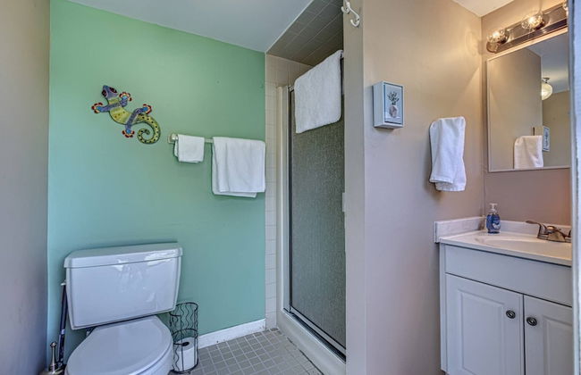 Happy Gecko - Foto 21