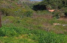 La casa de Don Juan - Foto 25