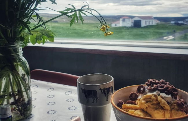 Old Authentic Icelandic Farmhouse - Foto 27