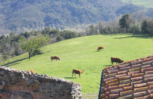 Farmhouse Tuscany - Foto 9