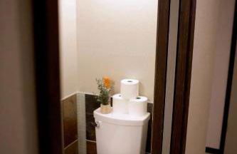 Whole House Aurora View with Hot tub, Sauna and AC - Photo 33