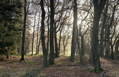 Red Squirrel Cottage - Foto 21